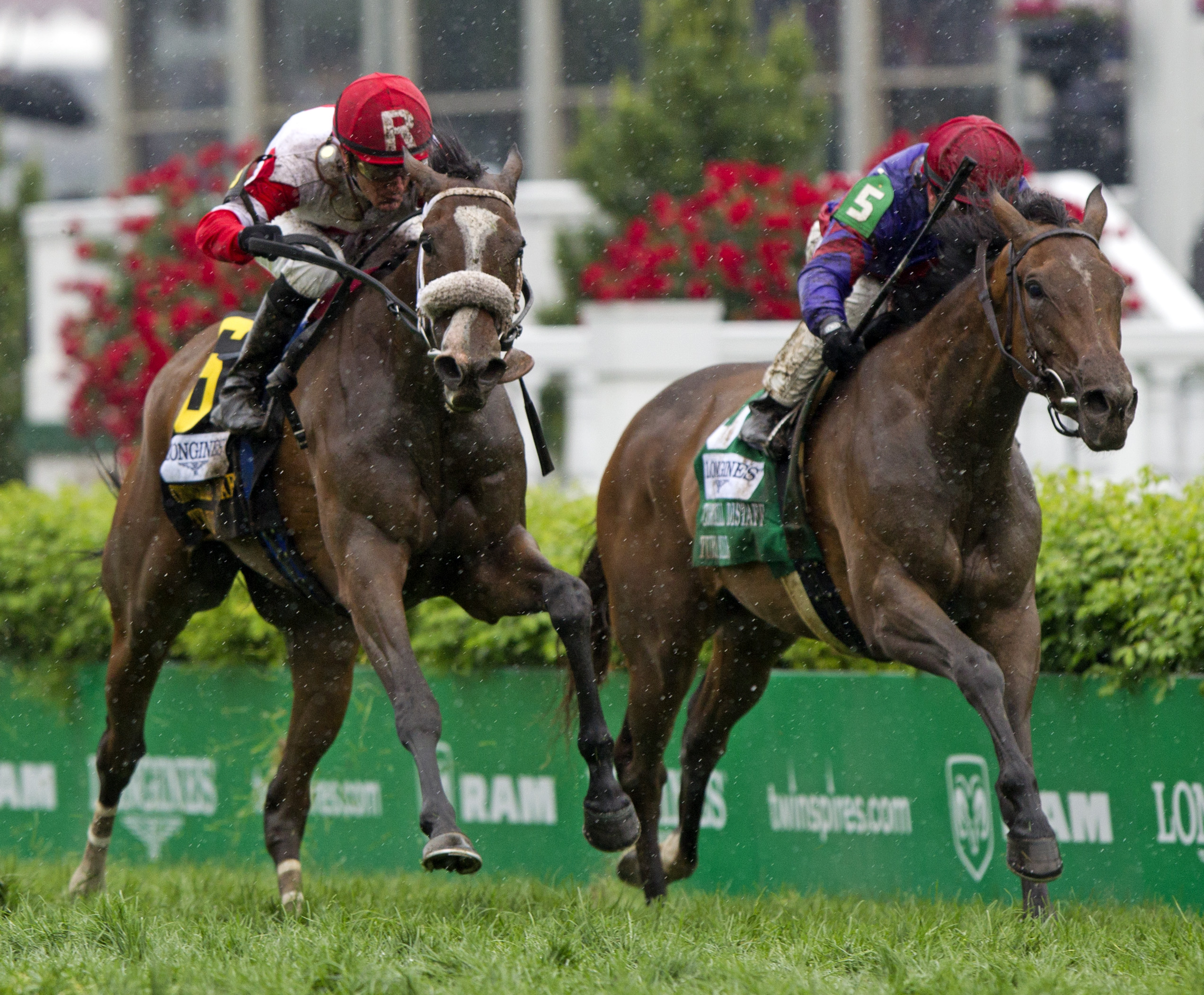 Distaff Turf Mile Stephanie s Kitten goes last to first to nip